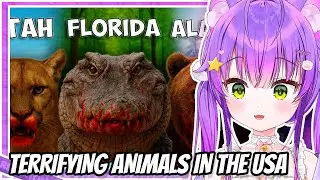 TERRIFYING ANIMALS IN | The Deadliest Animal in Each US State REACTION