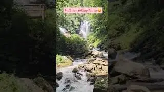 Lost in the sounds#usa #trending #nature #georgia  #weekend #US #waterfalls #viral #vecation #travel