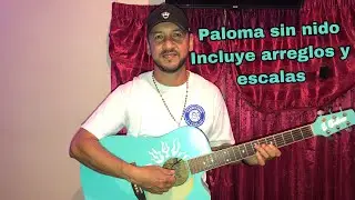 Paloma sin nido - TutoReal