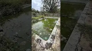 Строительство бревенчатого домика в лесу 🌲❤️ | Домик для выживания шаг за шагом