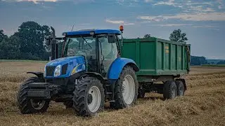 AGROVLOG #77//ODVOZ PŠENICE OD KOMBAJNU//NEW HOLLAND