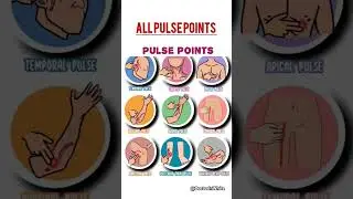 Pulse points of human body | #viralvideo #pulse