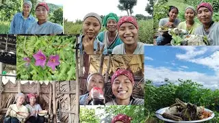 Cleaning ginger field 