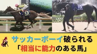 「函館記念2025」サッカーボーイ破られる＆ハヤテノフクノスケ横山武史「相当に能力