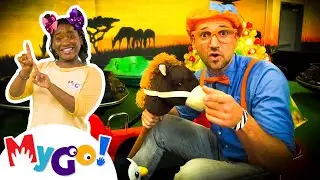 Blippi's Adventure Playground! | Blippi | MyGo! Sign Language for Kids | Educational Videos