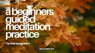 Beginners Guided Meditation Practice