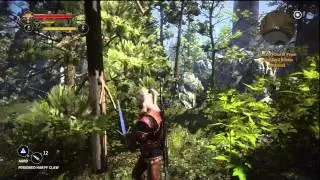 The Witcher 2: Find the Place of Power that Cecil Burdon Mentioned