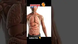 Mango benefits 🥭|| Human Digestive System 3D Animation | #endoscopy #anatomy #humanbody