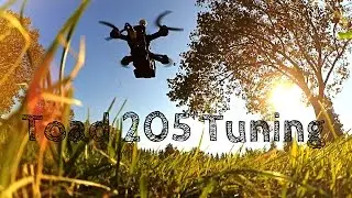 Toad 205 4s Tuning