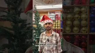 🚨Limited Stock Alert🚨 Christmas Trees Available in Bangalore. #treescollection #chriatianmotivation