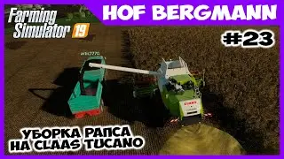 Уборка рапса, работаю на Claas Tucano // Hof Bergmann #23 // Farming simulator 19