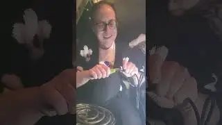 ✨️STEALTH DINNER/ WALMART SINGLE BURNER STOVE❄️