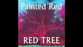 Red Tree Singers - Shoo Man! Hoka (composed by Redwing Thomas)