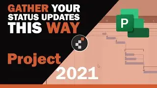 MS Project Progress Update - Best Practice