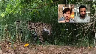 Sobrevivendo ao ATAQUE da Onça | Homem Foi Brutalmente Atacado Pela Fera do Pantanal