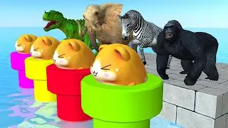 Wild Animals Jump on the Hamster Challenge with Gorilla, Elephant, Warthog Zebra and Zombie T rex