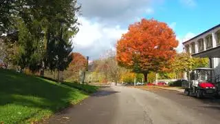 Wheeling Park
