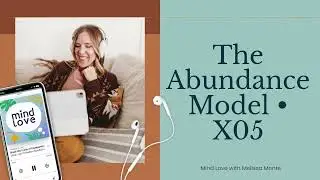 The Abundance Model &bull; X05
