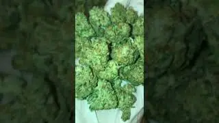 Check up on my #keylimepie