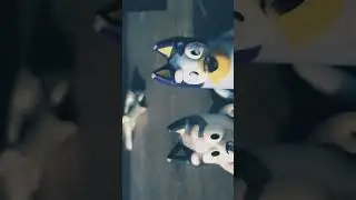 missing bluey