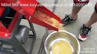 Dynamic Agro Machines Millet Mill