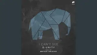 I Can't See