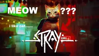 Stray - find a key