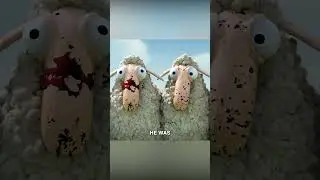 Эти овцы сходят с ума.