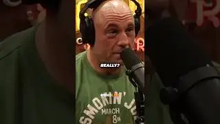 The Smartest Person In The World