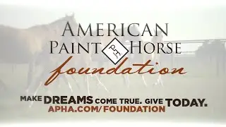 American Paint Horse Foundation &ndash; The Heart of APHA