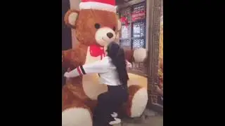 Teddy lovers😘,.                                        #shorts  #teddy  #Teddylover #koimilgaya