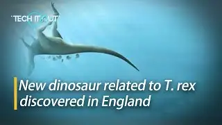 New dinosaur related to T. rex discovered in England