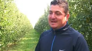 Za&scaron;to je ervinija i dalje veliki problem voćara - mart 2019