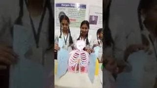 human body structure by Lpc students