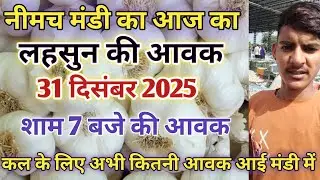 लहसुन भाव में आज लेवाली कैसी रहेगी | आज का लहसुन भाव | Neemuch Mandi ka lahsun bhav | Lahsun bhav