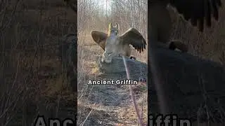 Real Griffin Caught on Camera in the Wild?! #griffin #mythicalcreature #shorts