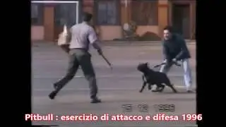 Pitbull : esercizio di attacco e difesa del proprietario/conduttore .