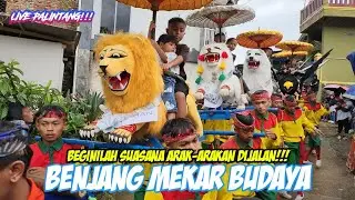 BEGINILAH SUASANA ARAK-ARAKAN DIJALAN || BENJANG MEKAR BUDAYA LIVE PALINTANG