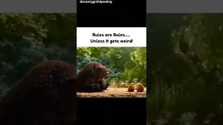 Discord Memes