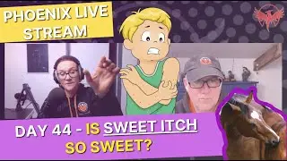 Day 44 - Is SWEET ITCH so SWEET?😩(far harder to cure than HOOVES)⛑️