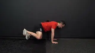Quadruped Side Against Wall, Hip Car