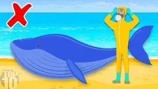 Why Dead Whales Are So Dangerous