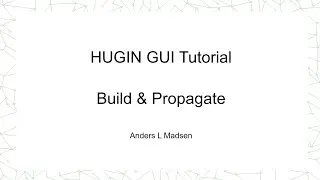 HUGIN Build and Propagate Tutorial