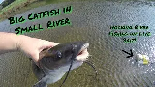 Hocking River Fishing ( insane day ) w/ Live Bait