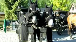 A horse drawn hearse and following carriage prepared for driving a funeral
