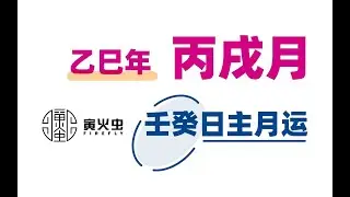 乙巳年 丙戌月 壬癸水日主月运
