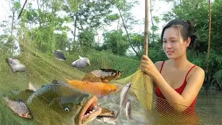 Turn Back Time🌿Fishing Techniques on Pond, Traditional Fishing Net Catch a Lot of Fish