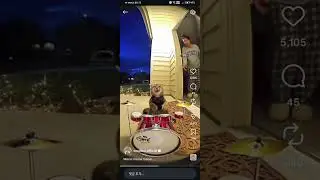 A Cat playing drums at 2am