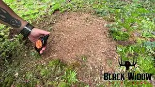 How to use Black Widow Deer Lures Scrapemaster