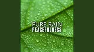 Return to Wholeness